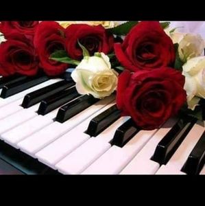 Meet your Posher, Josefa